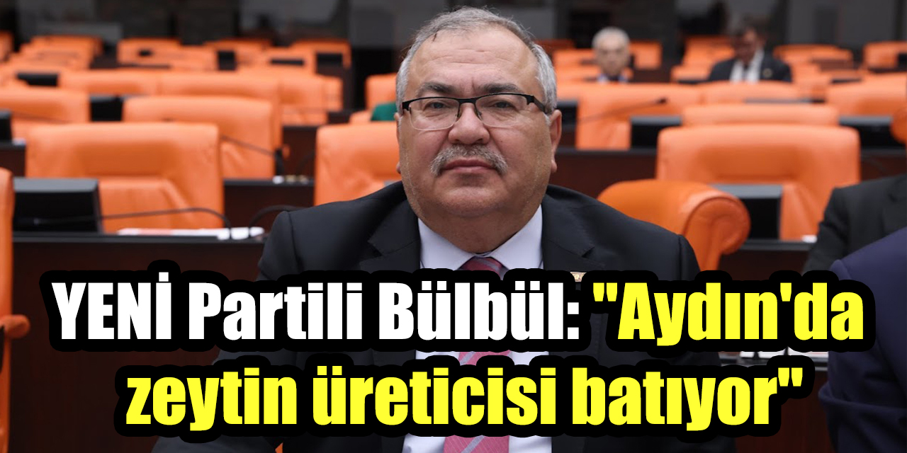 YENİ Partili Bülbül: "Aydın'da zeytin üreticisi batıyor"