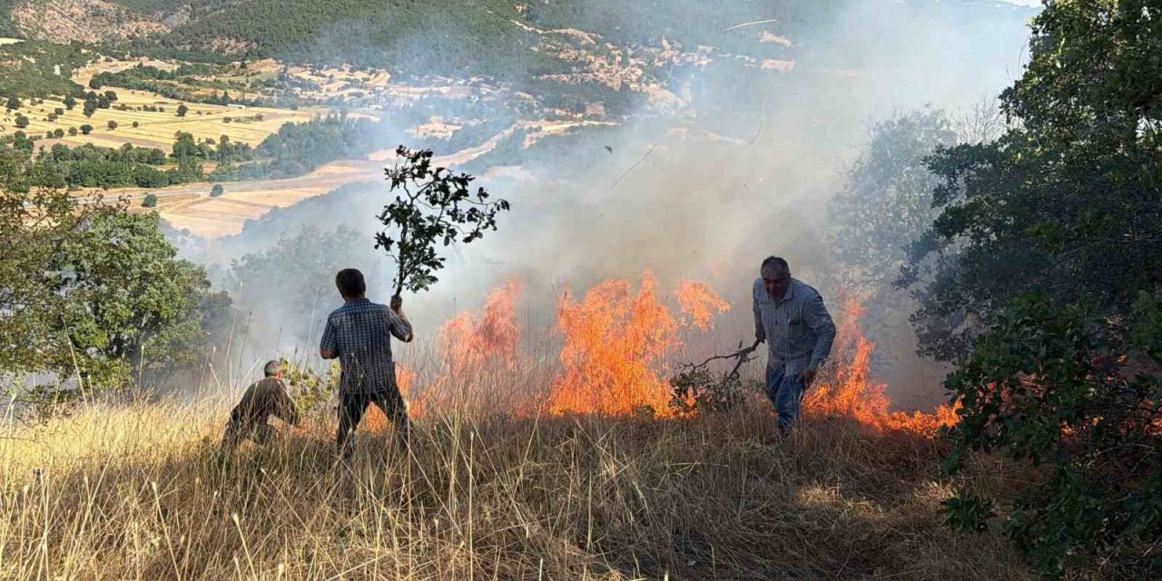Domaniç’te tarlada başlayan ve ormanlık alana sıçrayan yangın söndürüldü