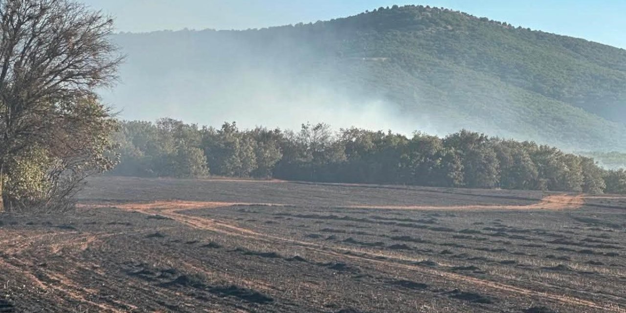 Kütahya Altıntaş’taki arazi yangını kontrol altına alındı