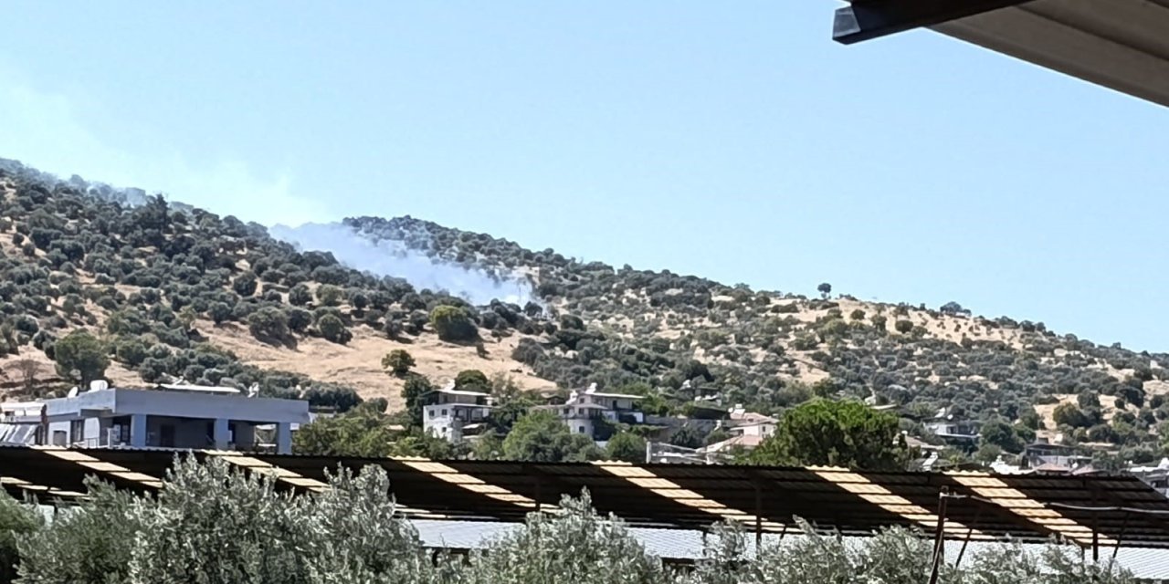 Bozdoğan’da zirai alan yangını