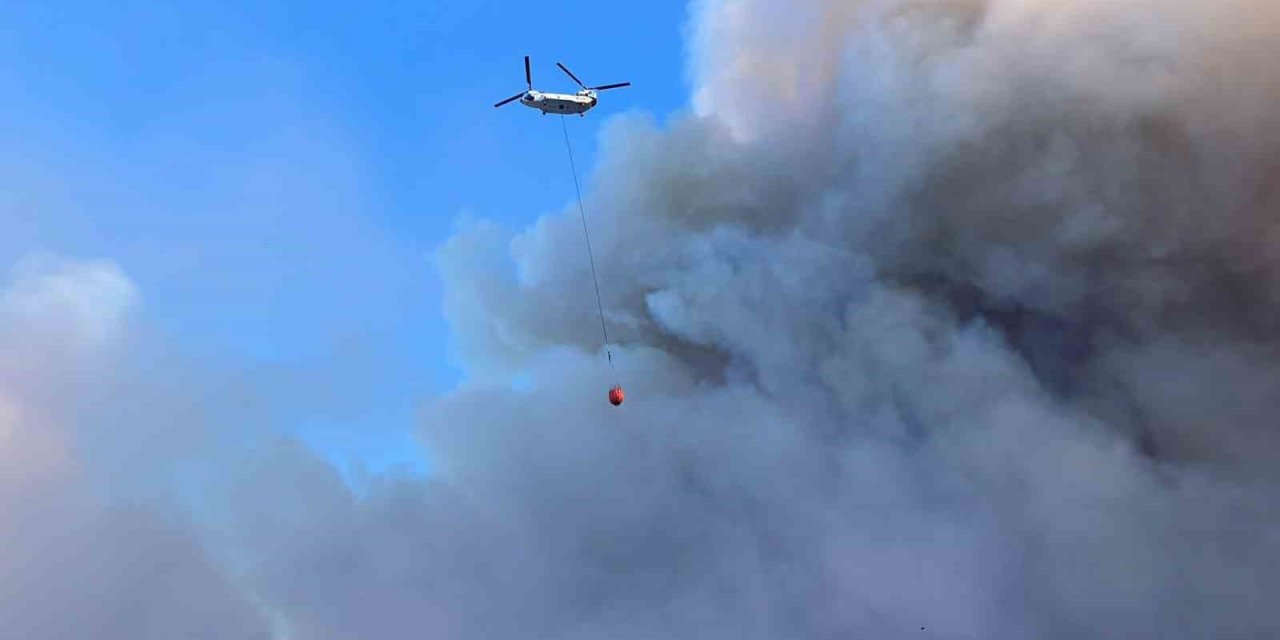 Çine orman yangınına 4 helikopter 2 uçak havadan müdahale ediyor