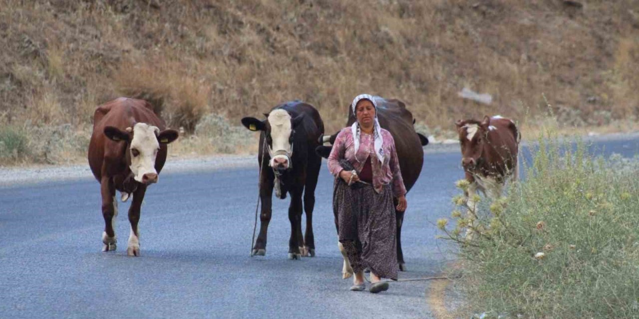 Alevlerden kaçtılar, hayvanlarını ve kendi canlarını zor kurtardılar