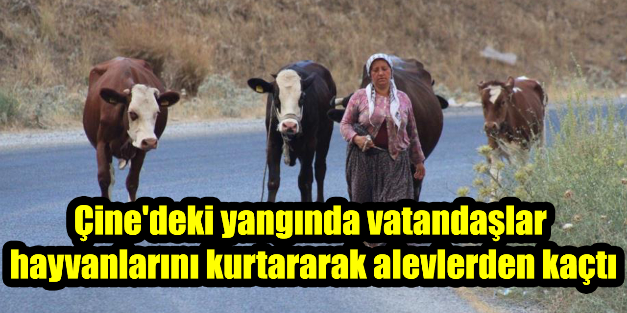 Çine'deki yangında vatandaşlar hayvanlarını kurtararak alevlerden kaçtı
