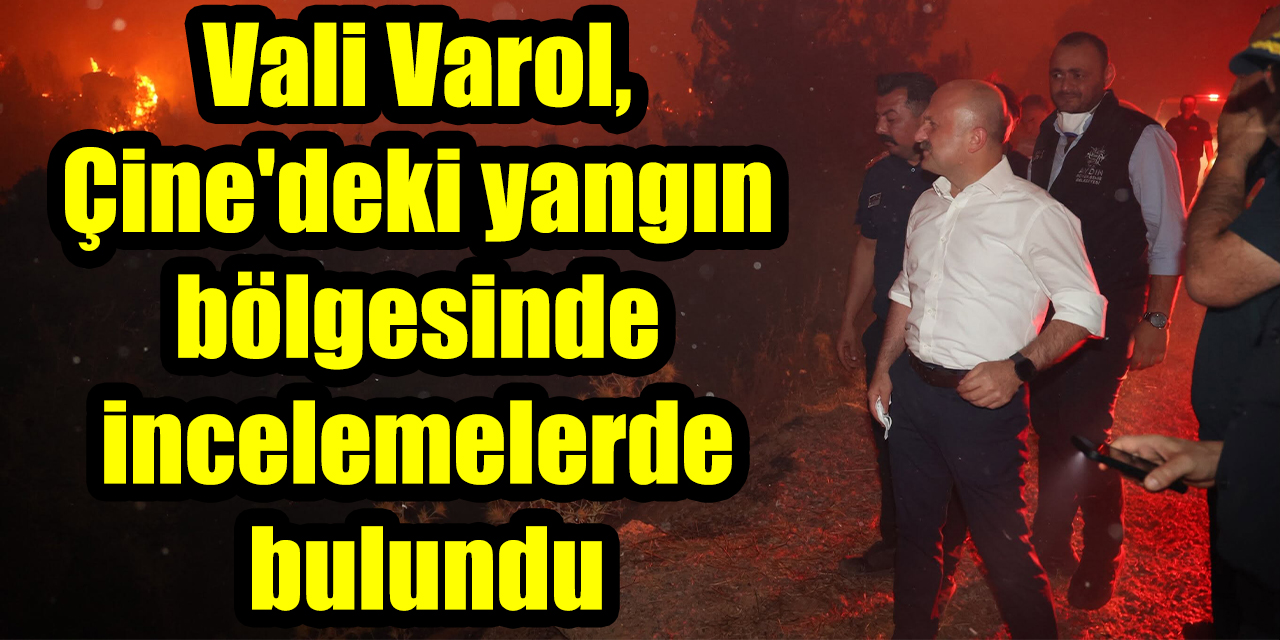 Vali Varol, Çine'deki yangın bölgesinde incelemelerde bulundu