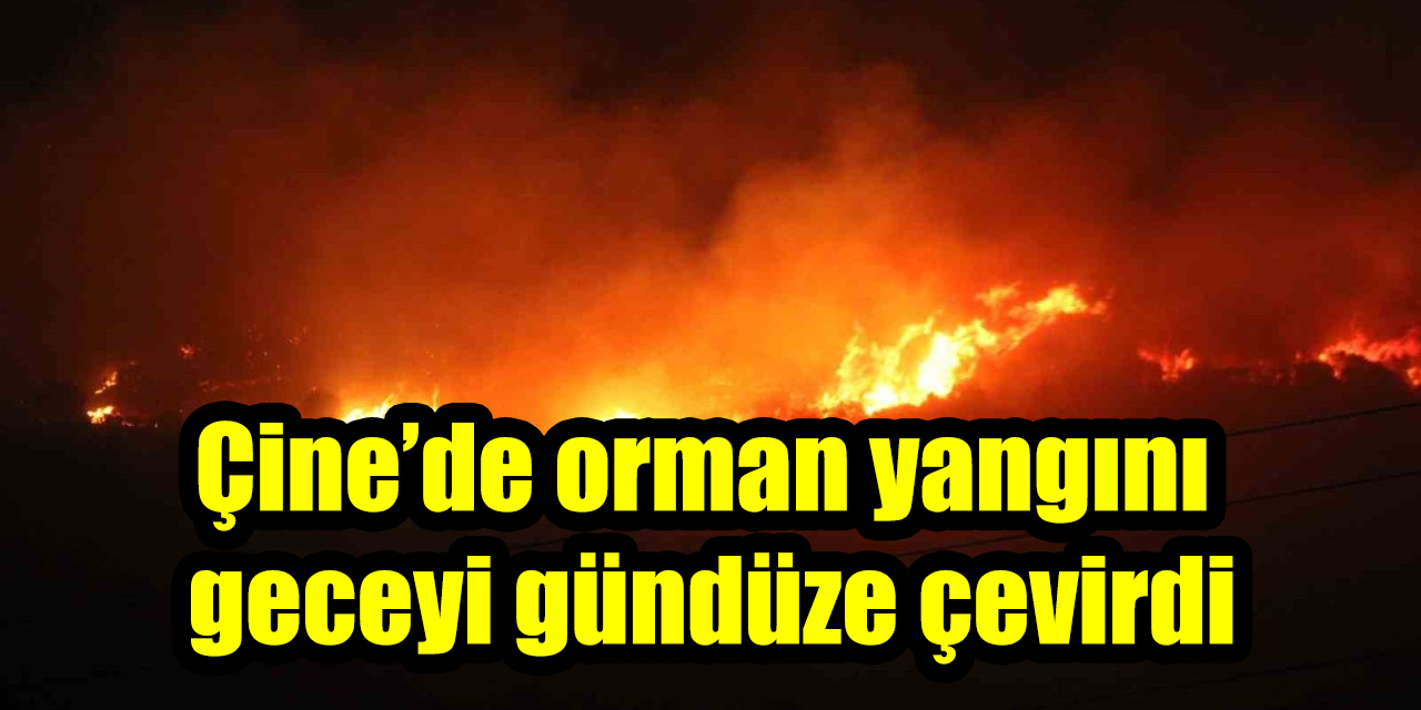 Çine’de orman yangını geceyi gündüze çevirdi