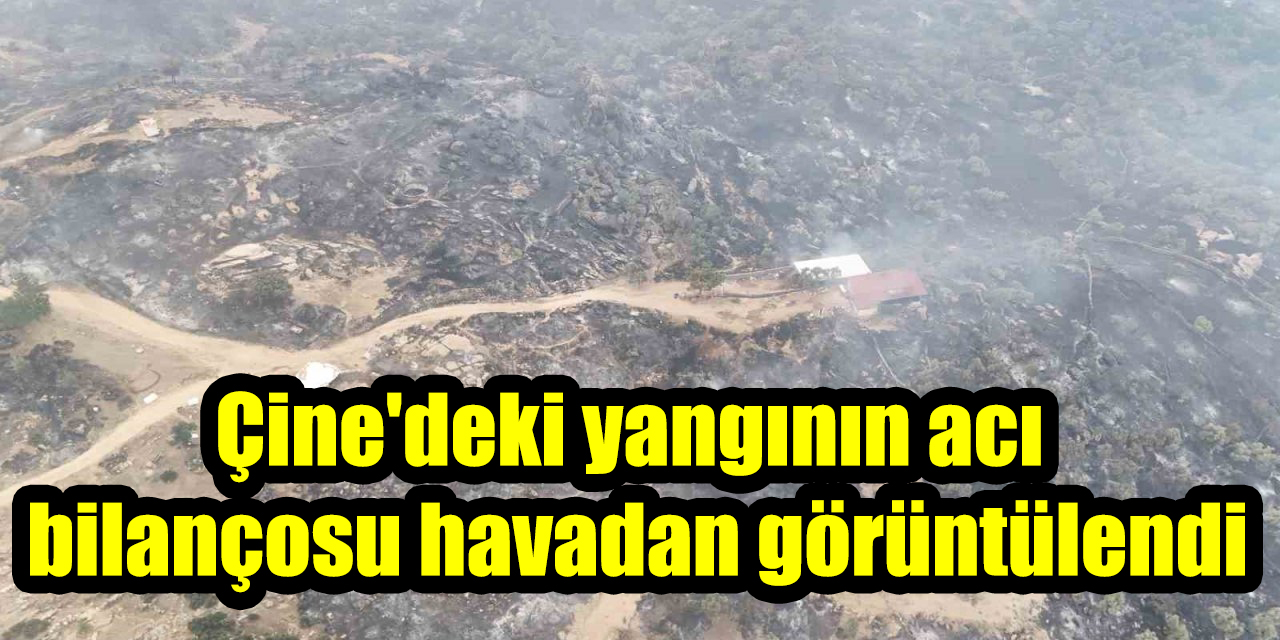 Çine'deki yangının acı bilançosu havadan görüntülendi