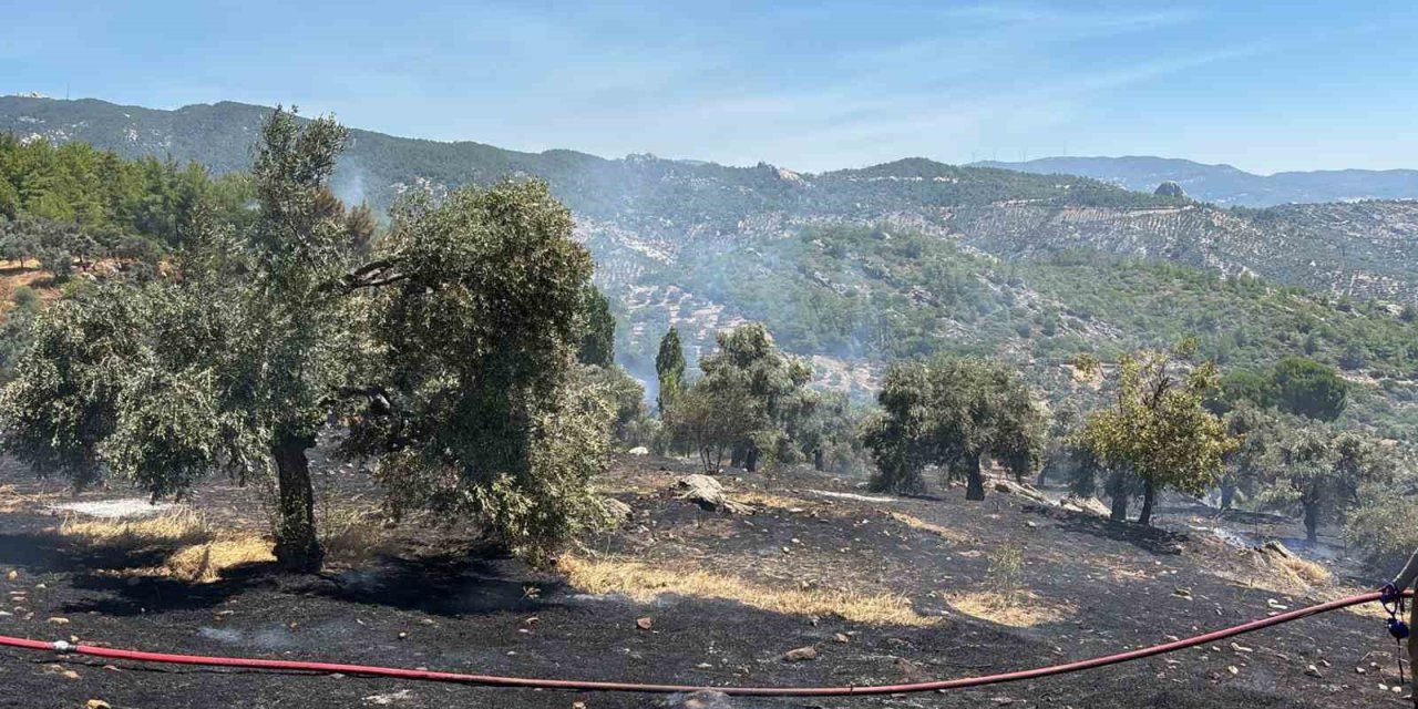 Milas’ta ziraat alanı yangını büyümeden söndürüldü