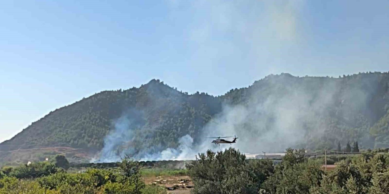Dalaman’da tarım alanındaki yangın kısa sürede söndürüldü