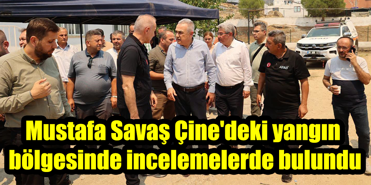 Mustafa Savaş Çine'deki yangın bölgesinde incelemelerde bulundu