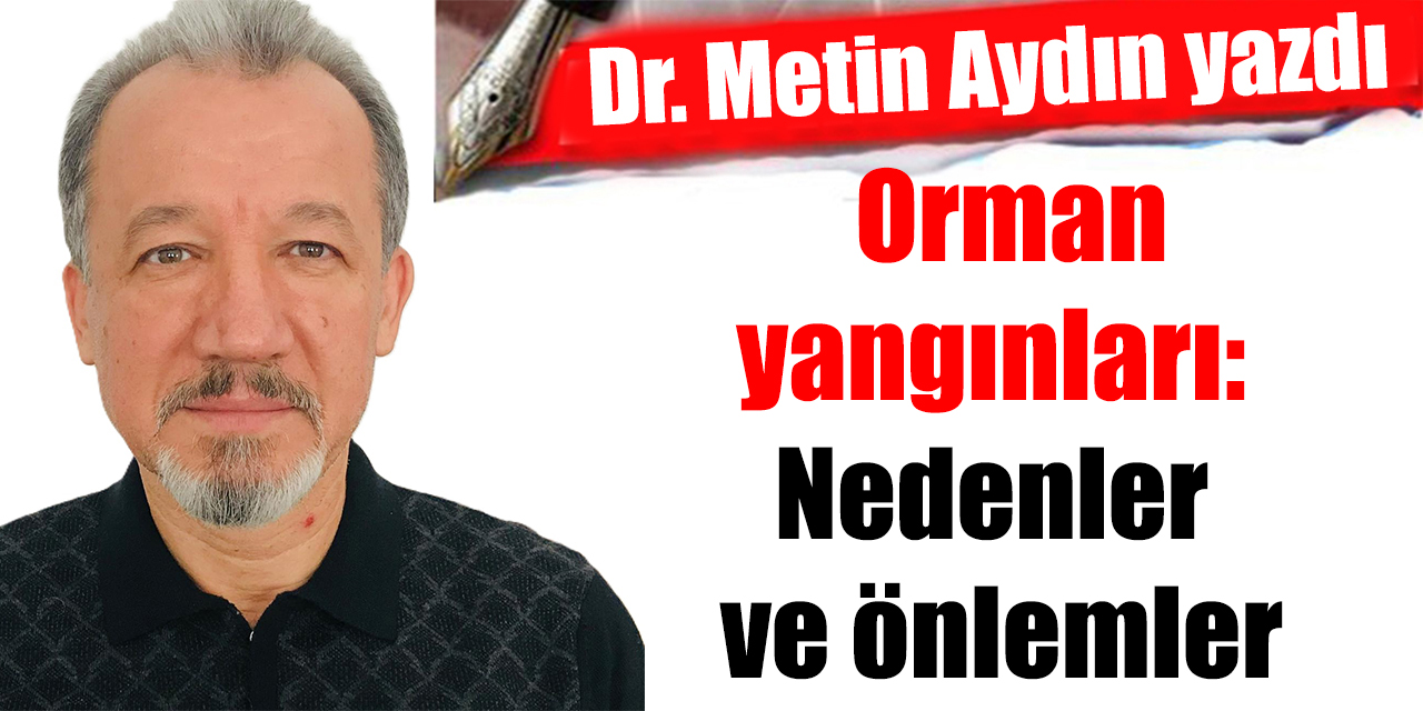 Orman yangınları: Nedenler ve önlemler