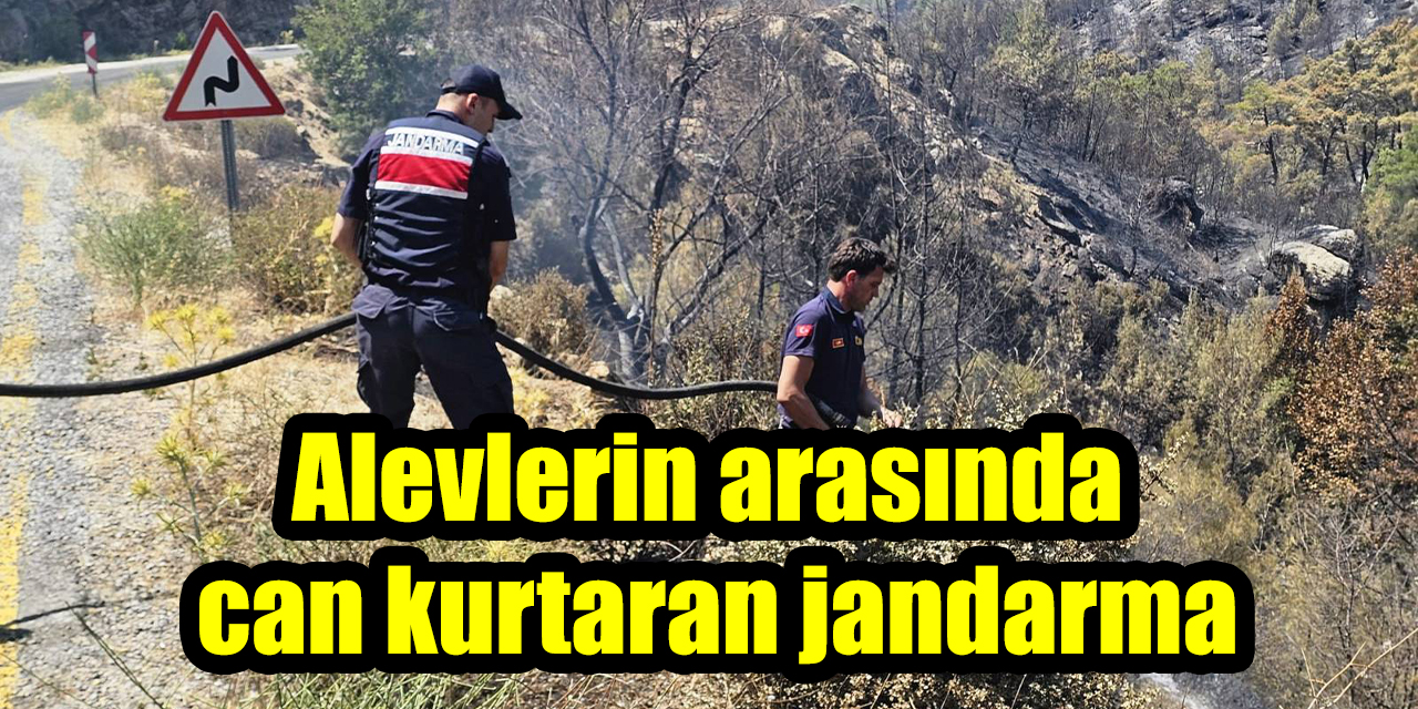 Alevlerin arasında can kurtaran jandarma
