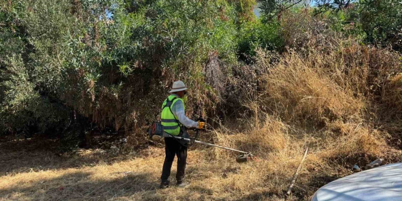Bodrum’da ot temizliği çalışmaları sürüyor