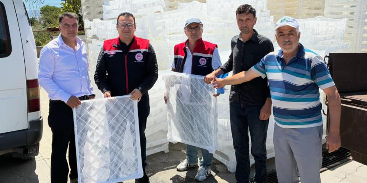 Aydın'da incir üreticilerine kurutma kereveti desteği