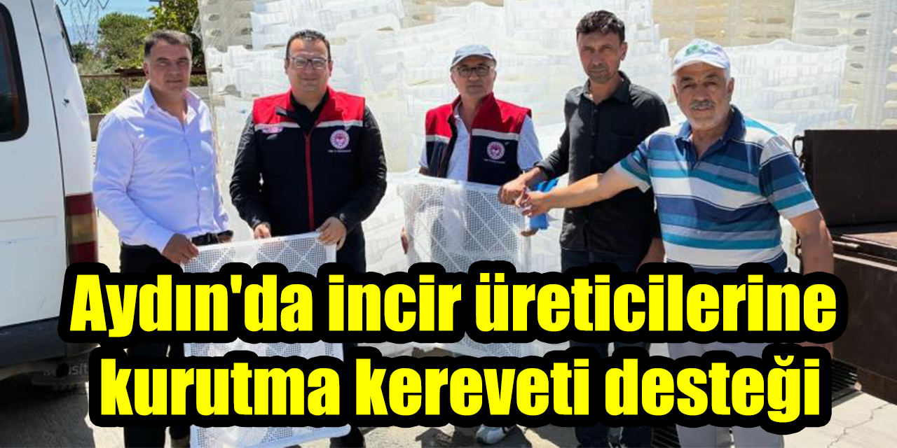 Aydın'da incir üreticilerine kurutma kereveti desteği