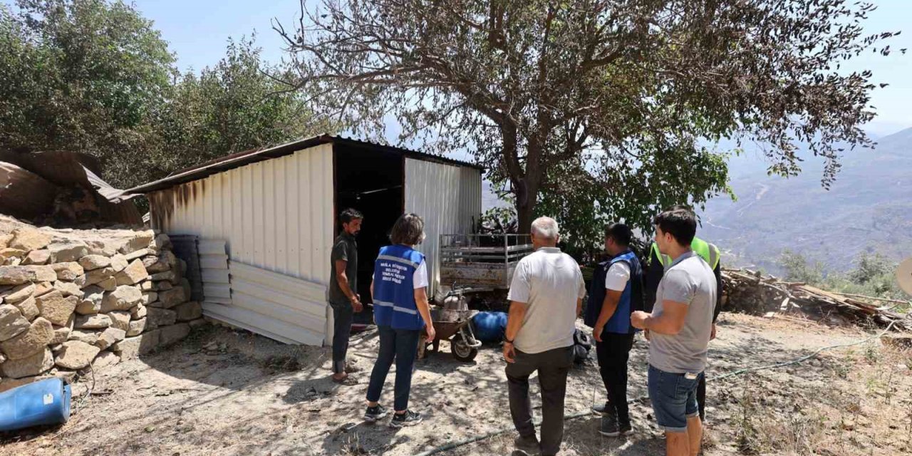 Yangında zarar gören çiftçilere Muğla Büyükşehir desteği