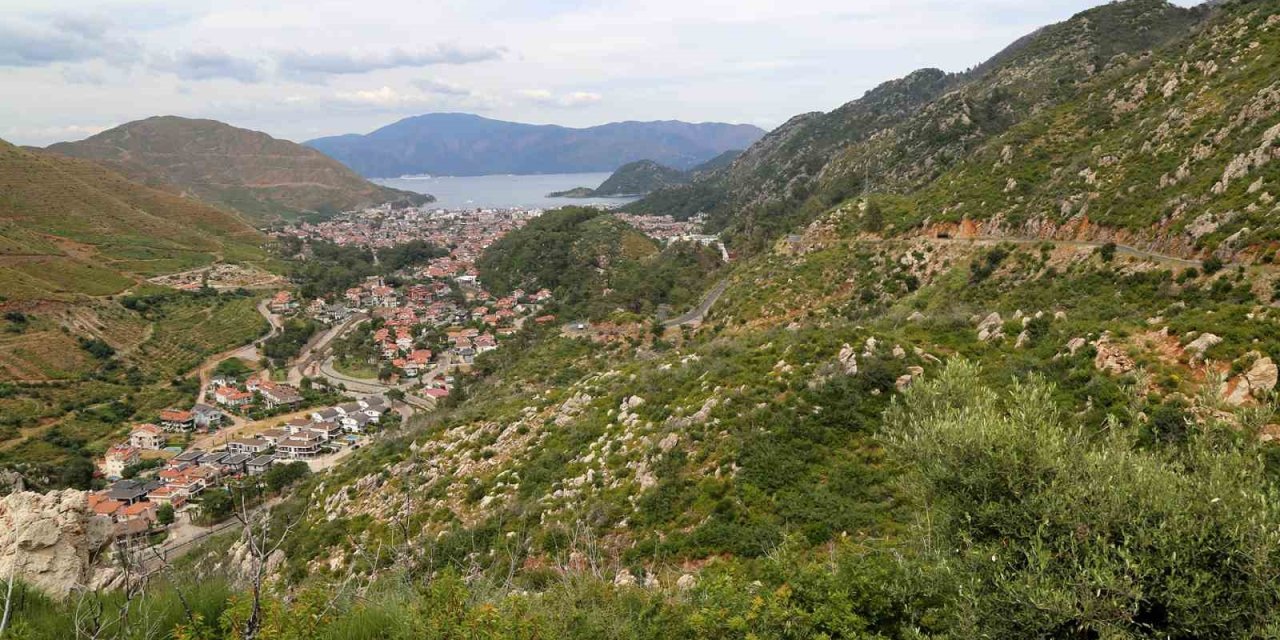 Kara tablo 5 yılda yeşile döndü