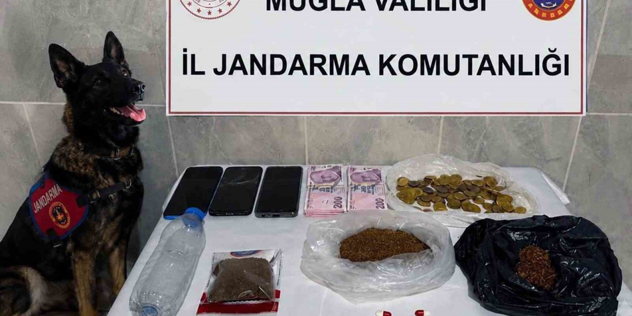 Jandarma KOM ekiplerinden Temmuz’da 24 operasyon