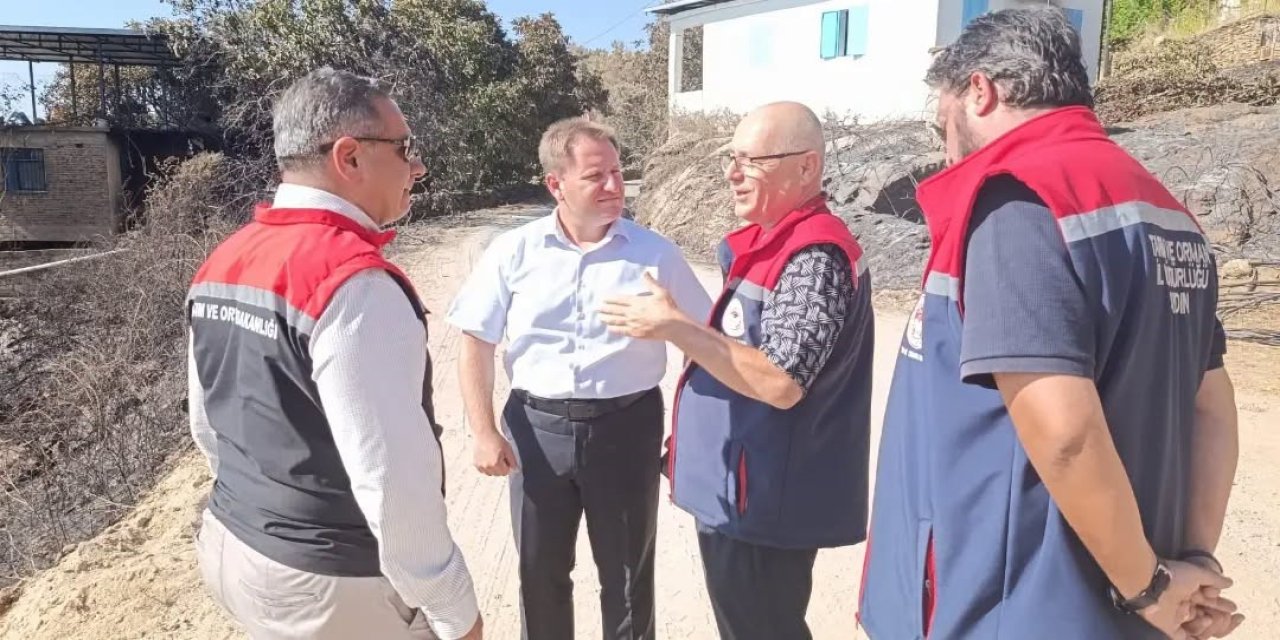 Yangından etkilenen Çine'de hasar tespiti sürüyor