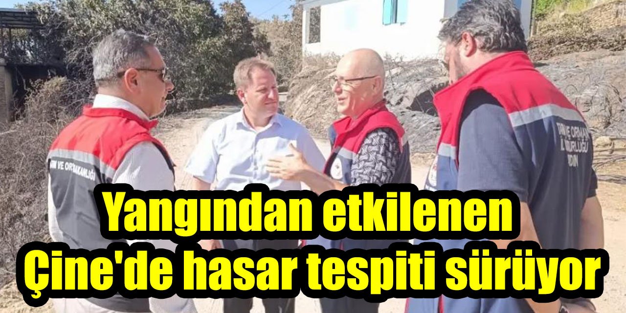 Yangından etkilenen Çine'de hasar tespiti sürüyor