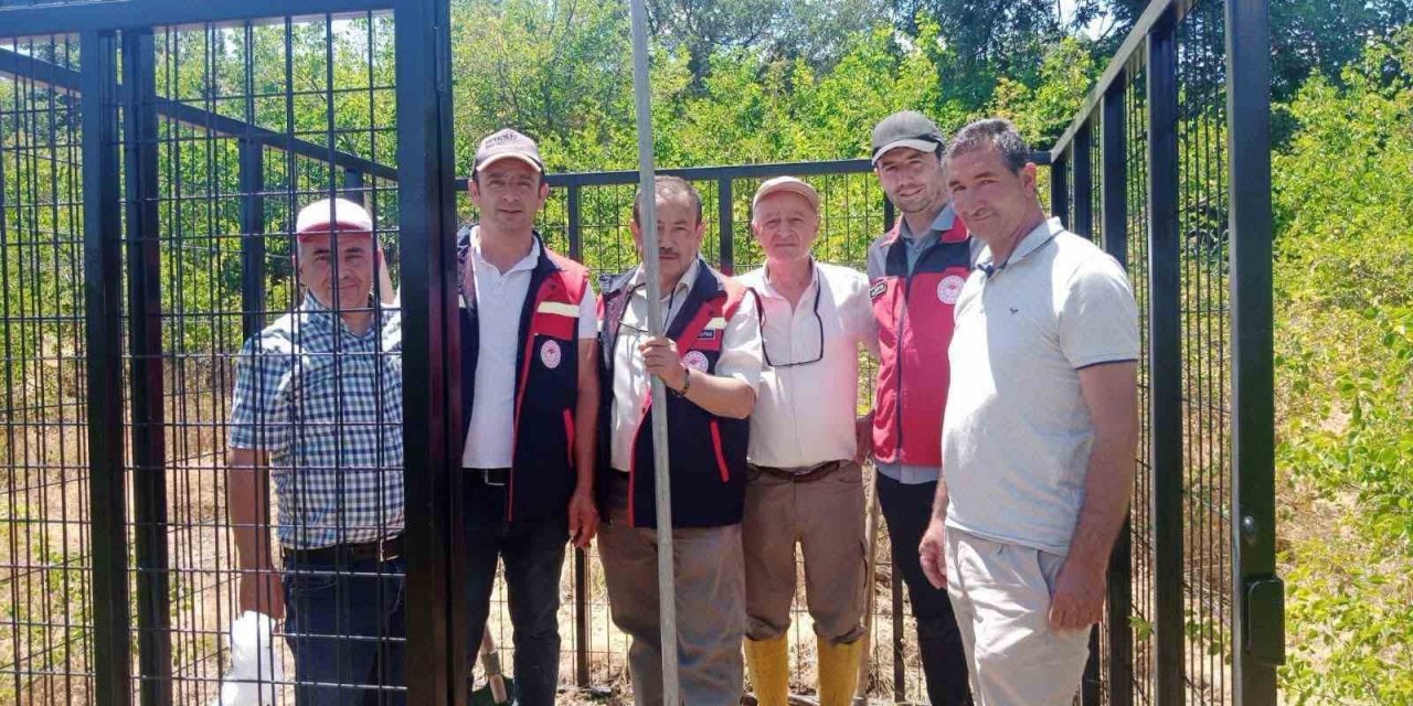 Afyonkarahisar’da süne zararlısının takibi için Erken Uyarı İstasyonu kuruldu