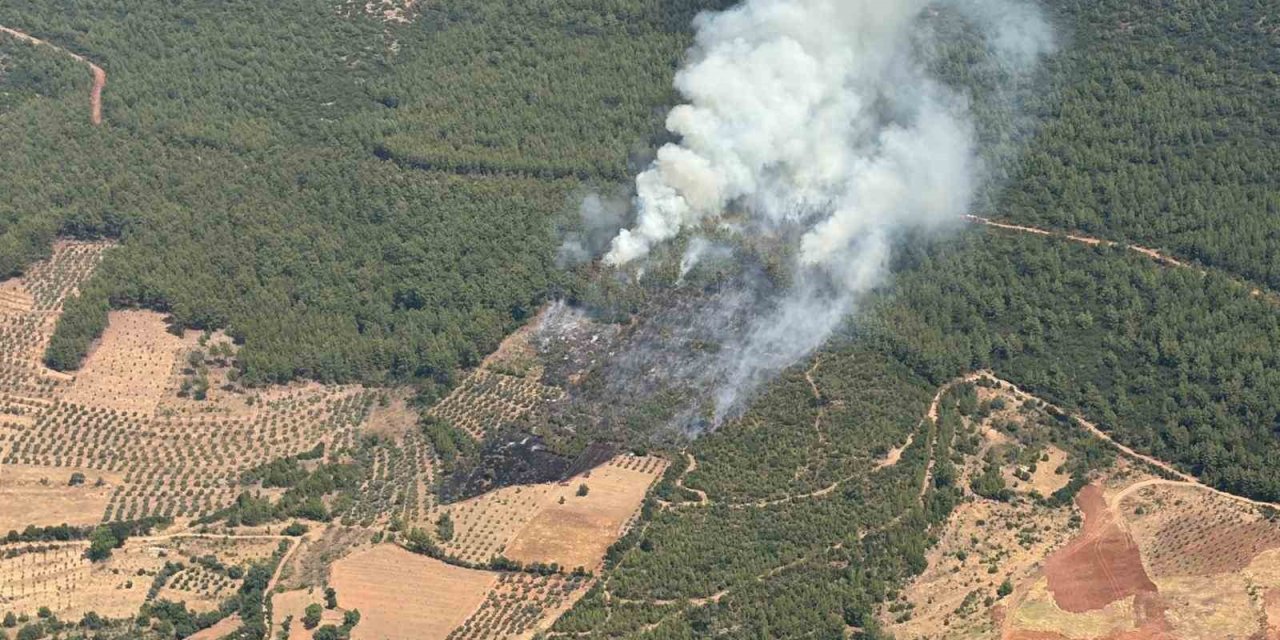 Yatağan’da zirai alanda başlayan yangın ormana sıçradı