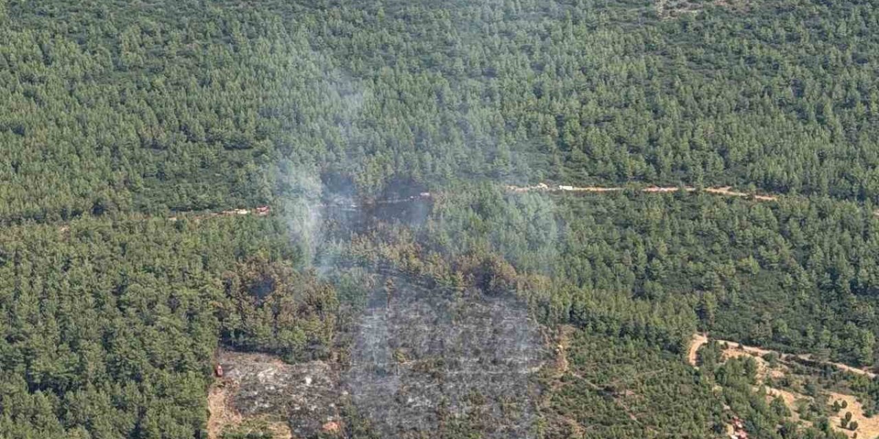 Yatağan’da korkutan zirai yangın kontrol altına alındı