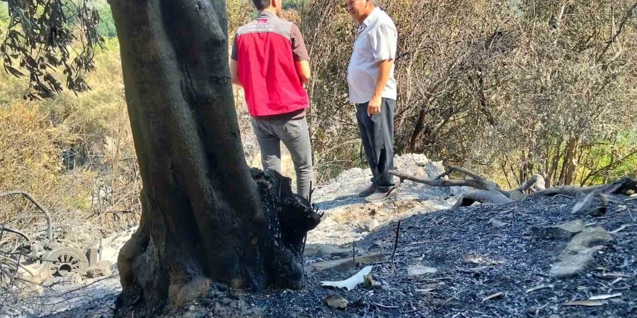 Muğla’da yangınların ardından hasar tespit çalışmaları sürüyor
