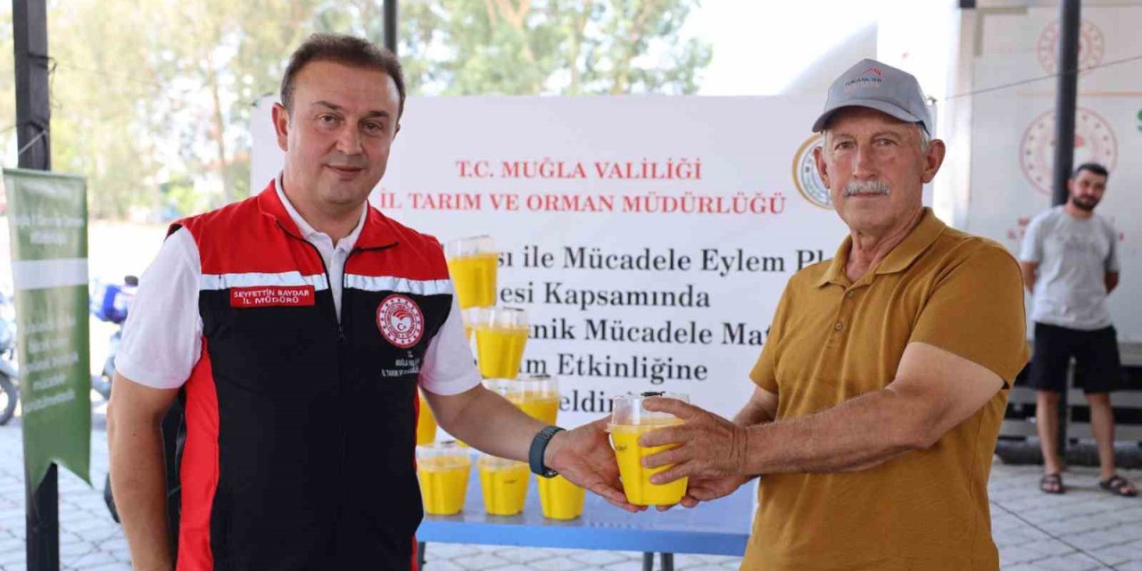Turunçgil üreticilerine 8 bin Akdeniz Meyve Sineği tuzağı dağıtıldı