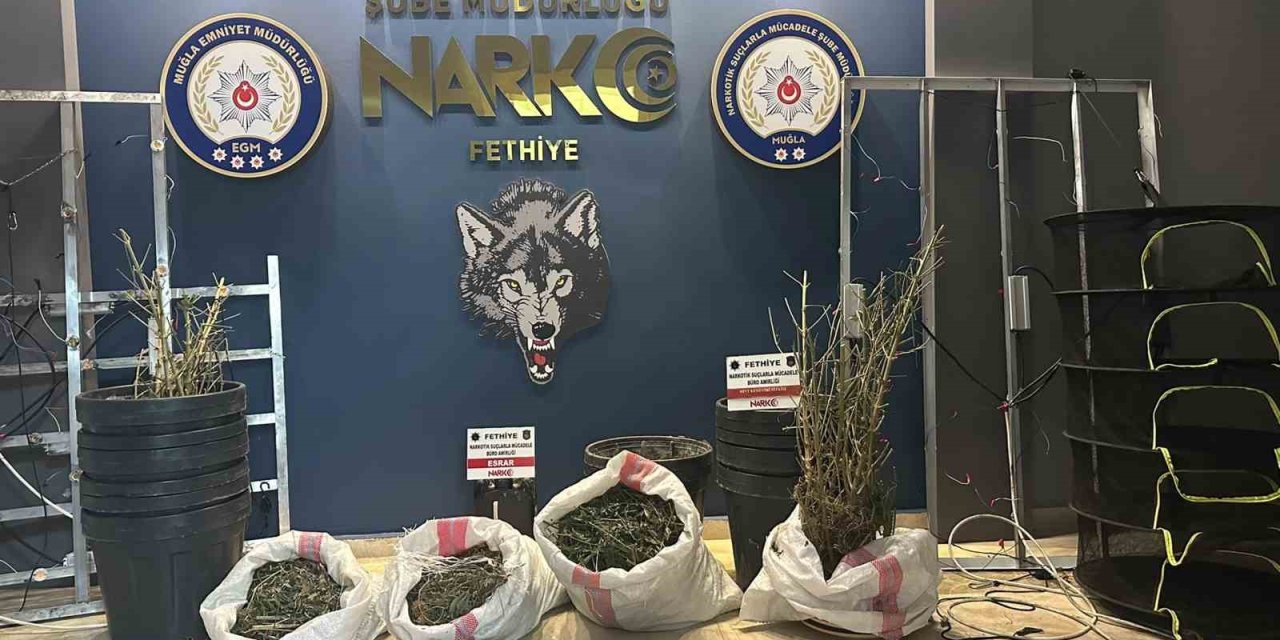 Muğla’da Temmuz ayında narkotik operasyonları: 29 tutuklama