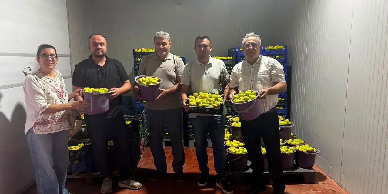 Buharkent’te incir bahçeleri ve alım noktalarında Fusarium denetimi