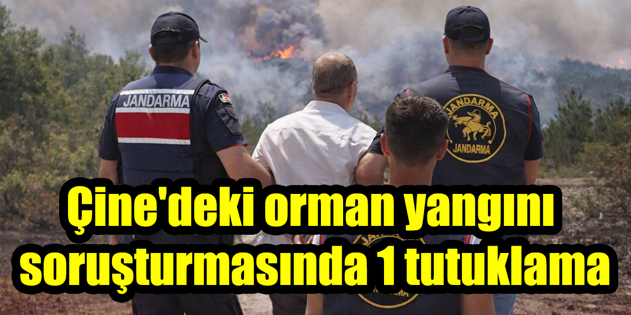 Çine'deki orman yangını soruşturmasında 1 tutuklama