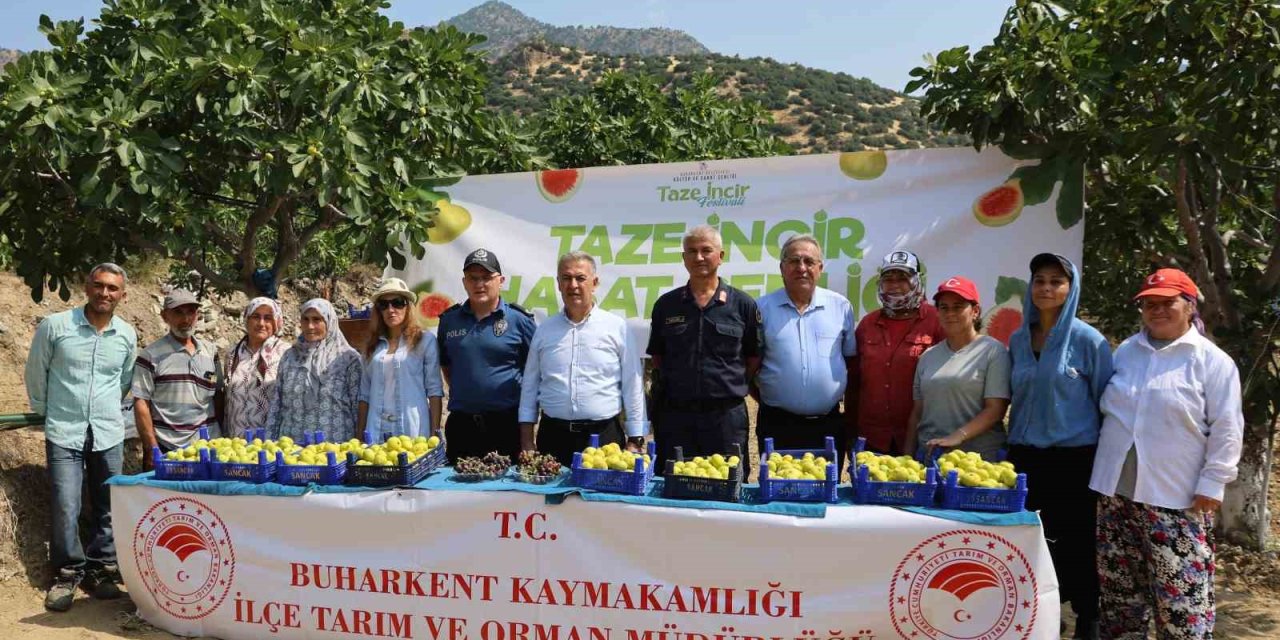 Buharkent’te taze incir hasadı başladı
