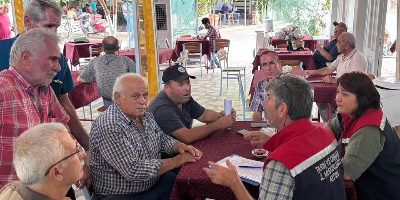 Nazilli’de incir üreticilerine İncir Tebliği anlatıldı