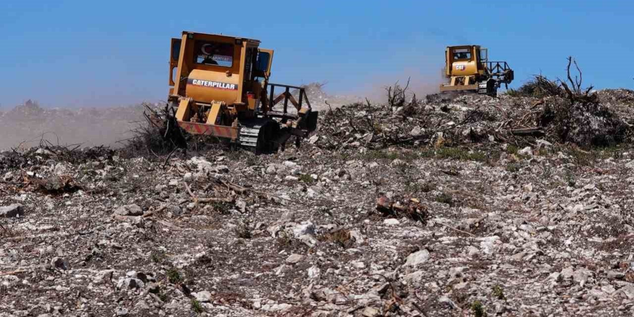 Aliağa ve Foça’daki yanan orman alanlarında ağaçlandırma çalışmaları sürüyor