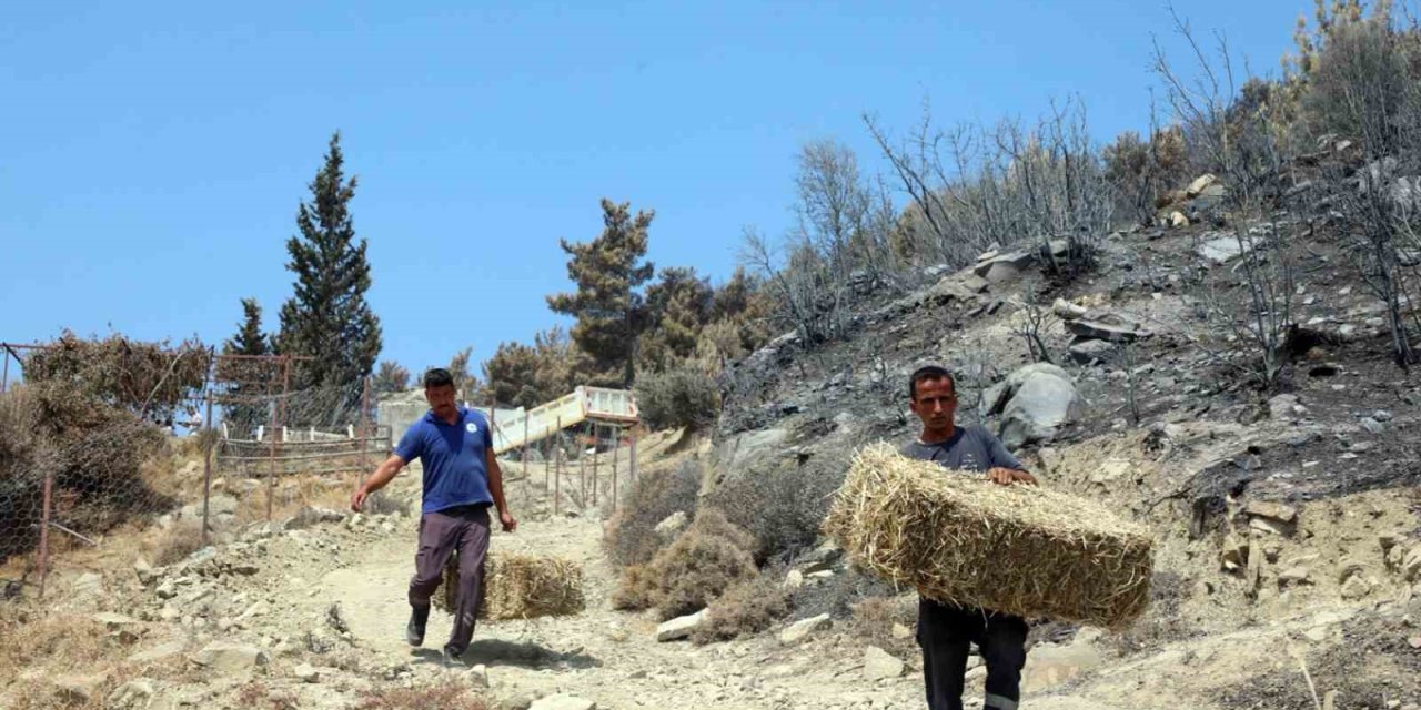 Seydikemer’de yaralar hızla sarılıyor