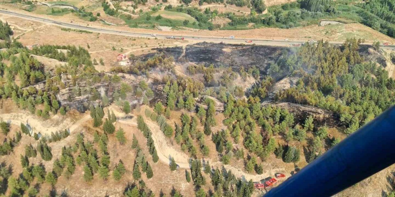 Yol kenarında başlayıp ormana sıçrayan yangın hızlı ve etkin müdahaleyle büyümeden söndürüldü