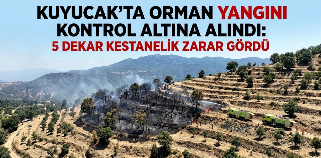 Kuyucak'ta orman yangını kontrol altına alındı: 5 dekar kestanelik zarar gördü