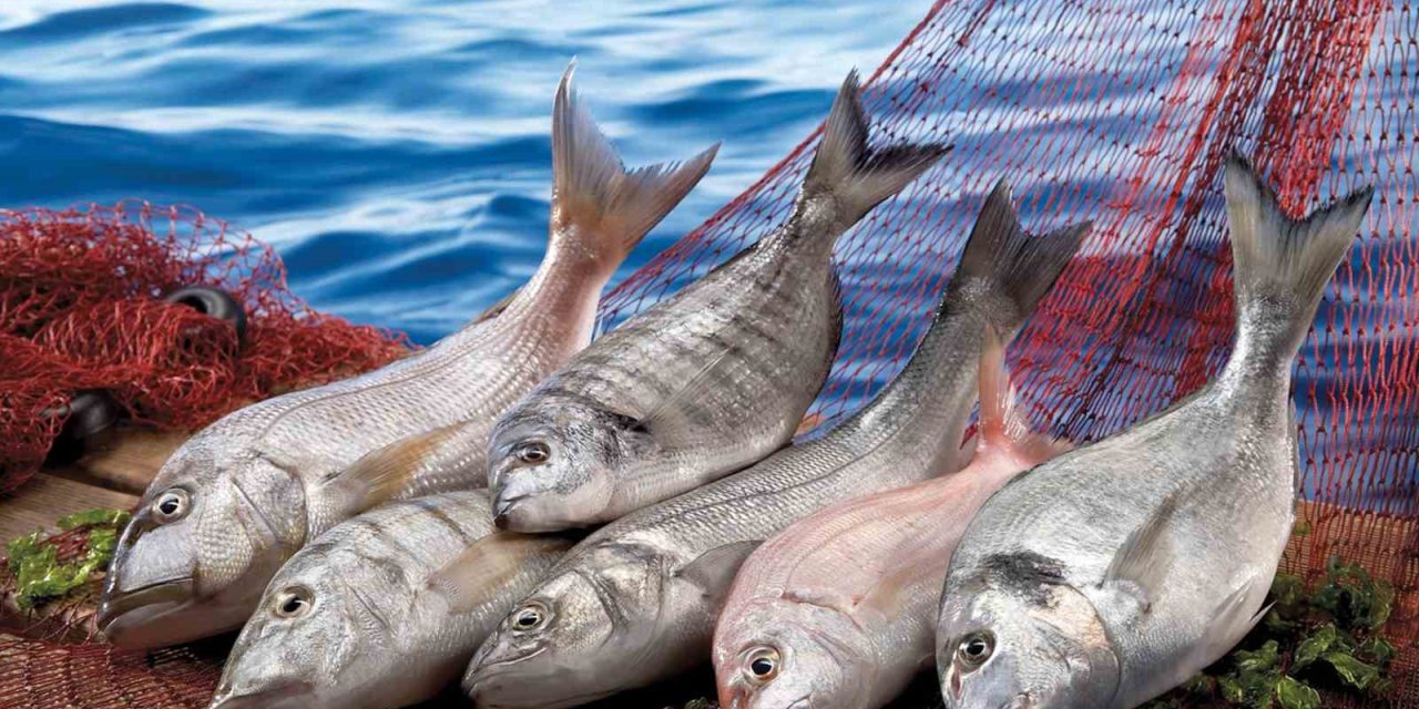 Muğla ihracatı Temmuz ayında yüzde 9 arttı