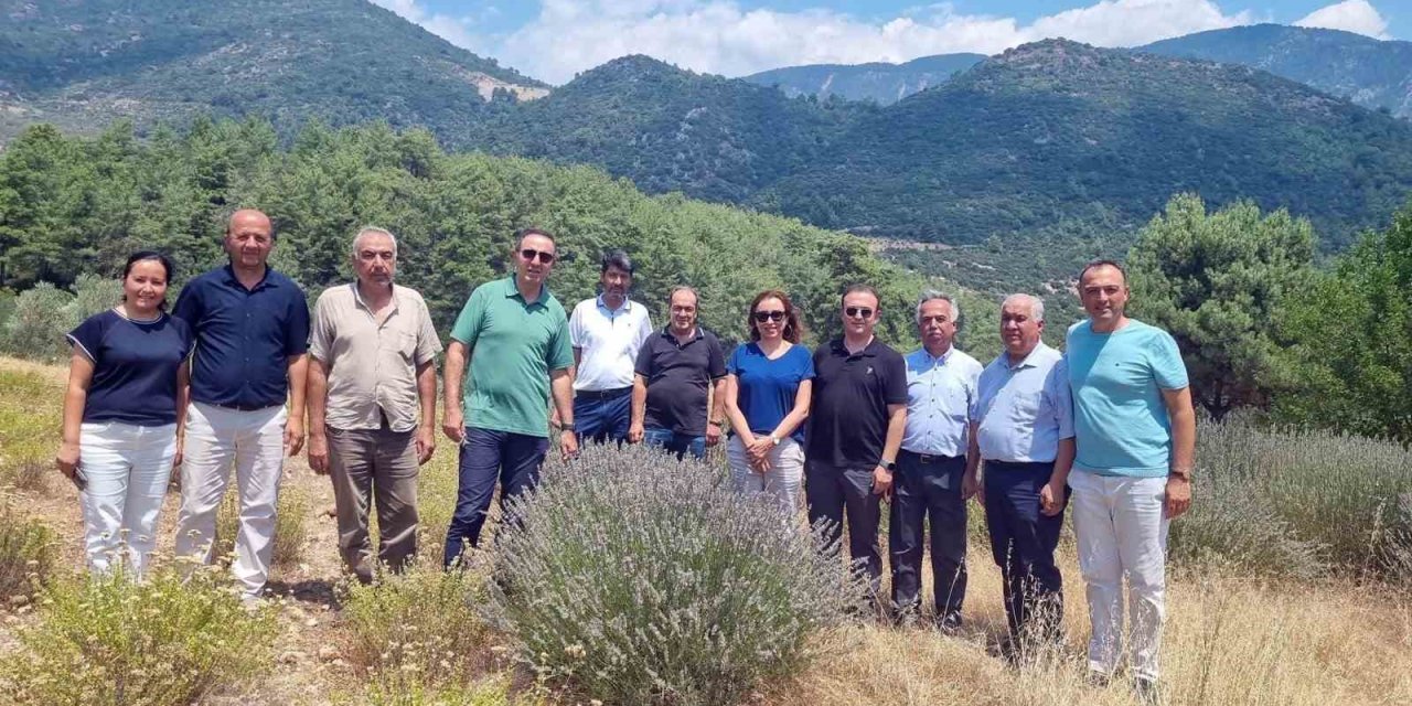Tıbbi ve Aromatik Bitkileri yerinde inceleme