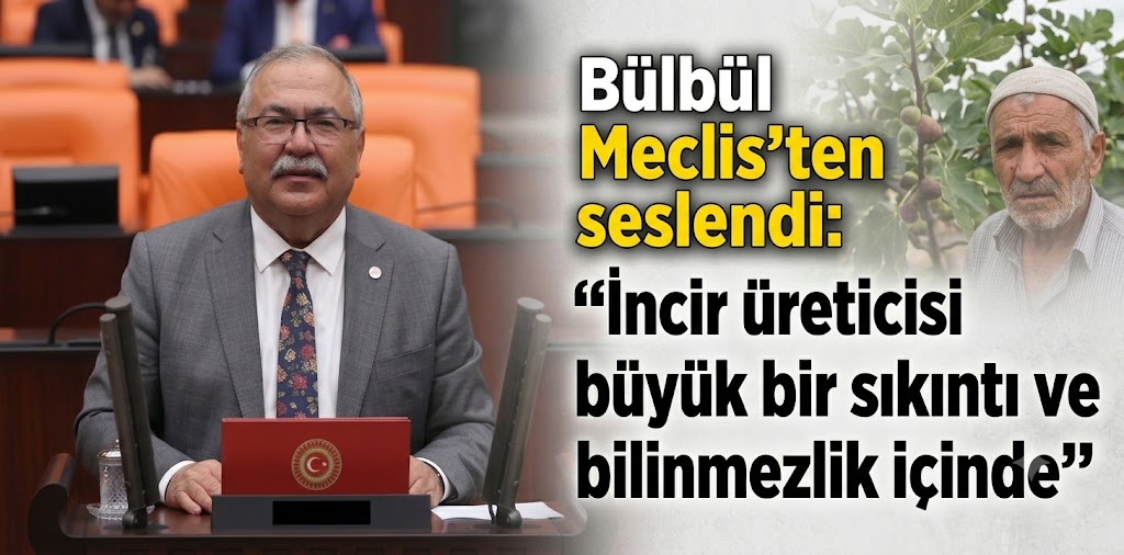 Bülbül Meclis’ten seslendi: “İncir üreticisi büyük bir sıkıntı ve bilinmezlik içinde”