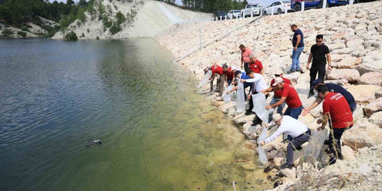 Denizli’de iç sulara can suyu: İl genelinde 1 milyon 386 bin balık bırakıldı
