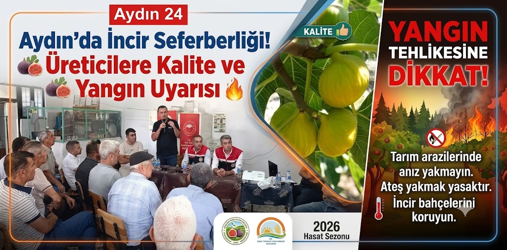 Aydın’da incir seferberliği! Üreticilere kalite ve yangın uyarısı