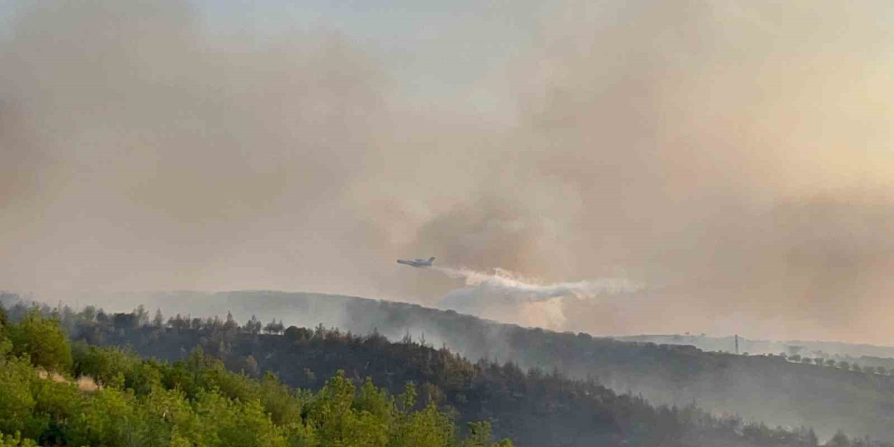 Kula’daki orman yangınına havadan ve karadan müdahale sürüyor