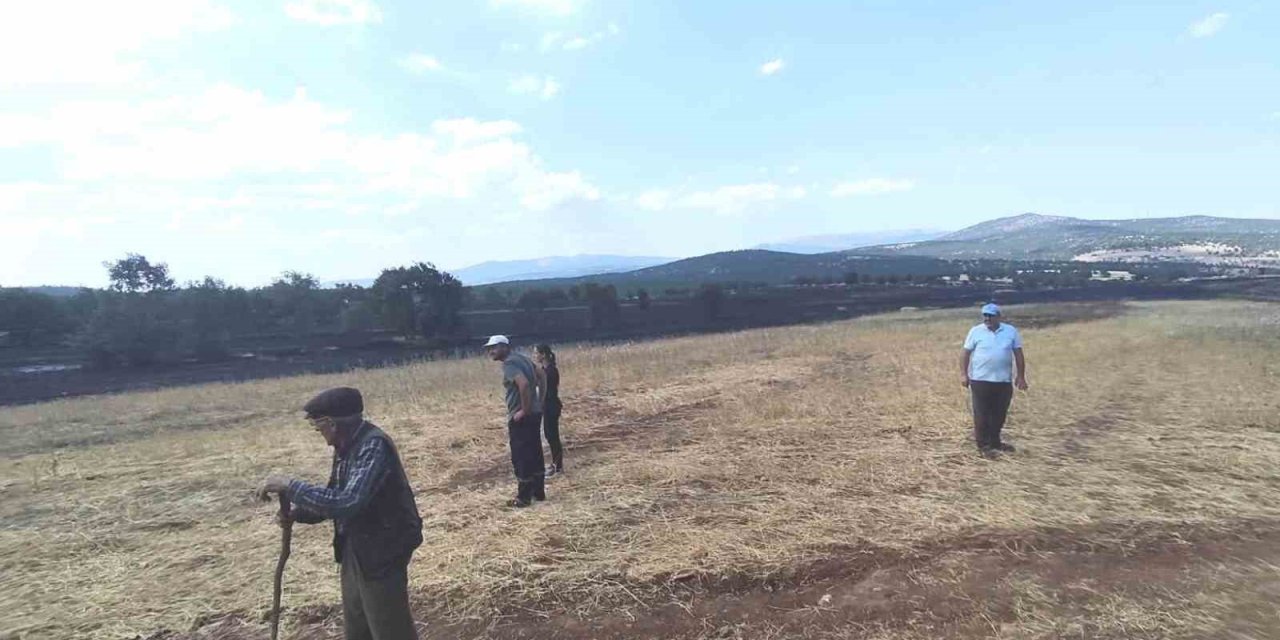 Kütahya’da yangının ardından tarım arazilerinde hasar tespiti