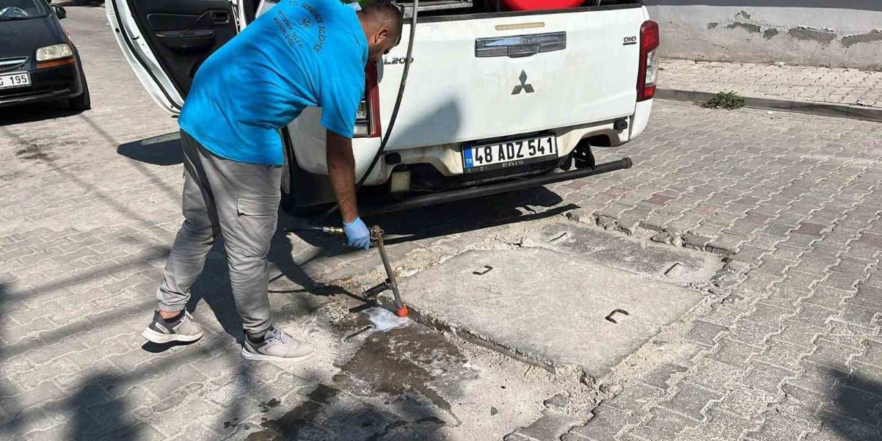 Germencik’te haşere ve zararlılara karşı etkin mücadele