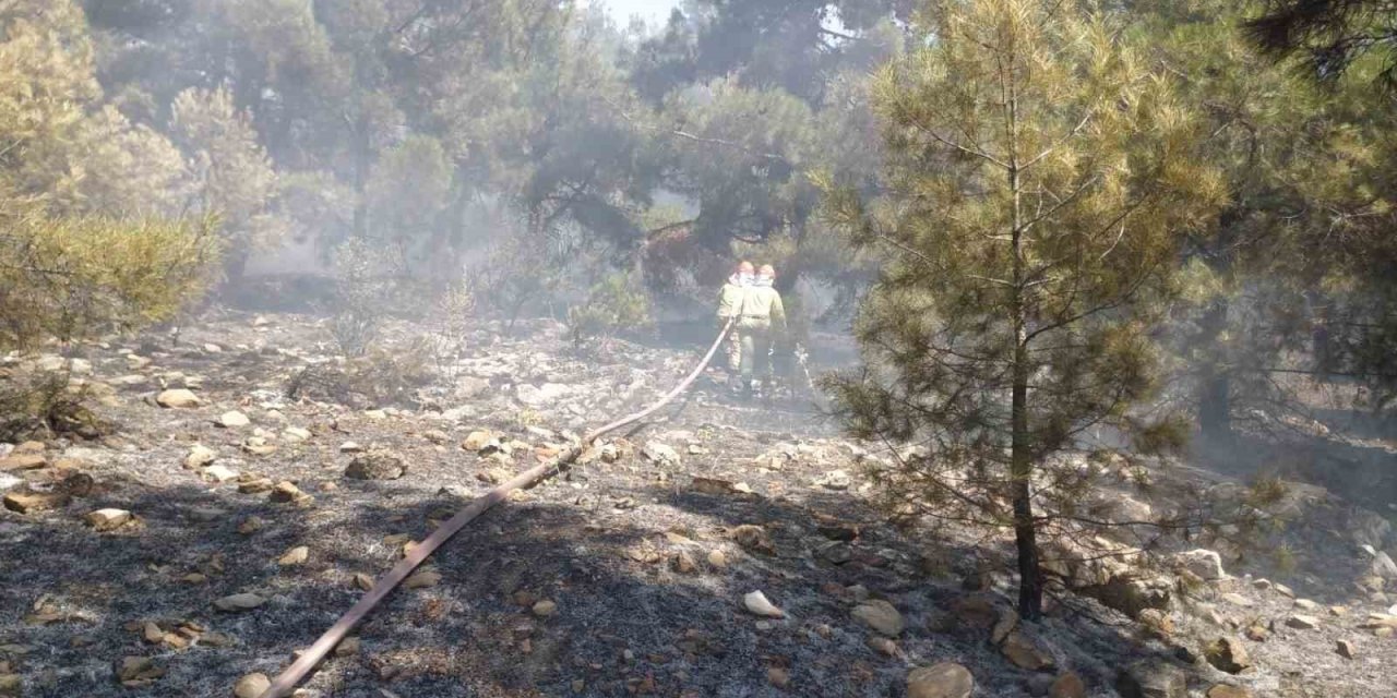Denizli’de orman yangını hızlı müdahaleyle kontrol altına alındı