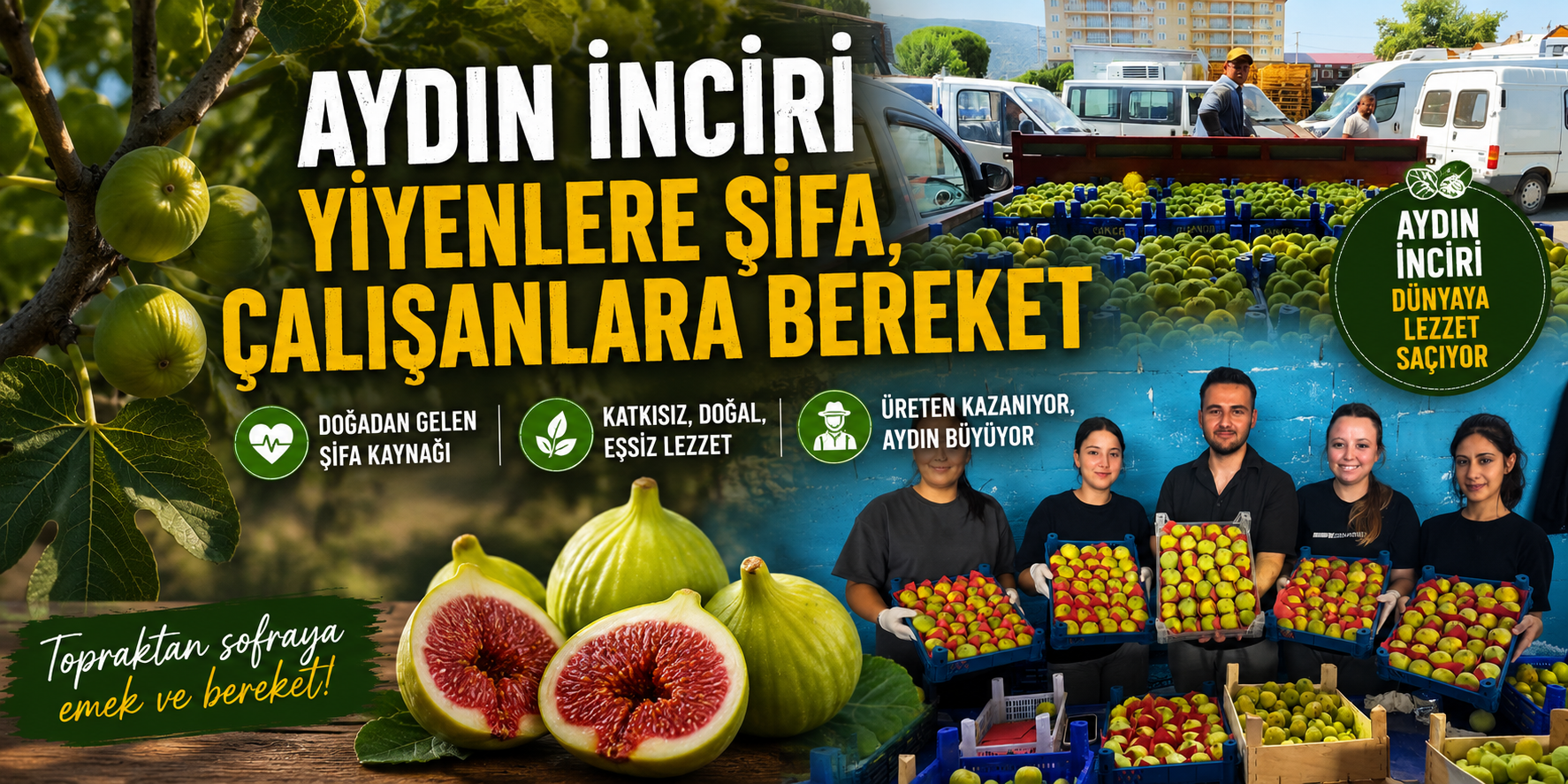 Aydın inciri yiyenlere şifa, çalışanlara bereket