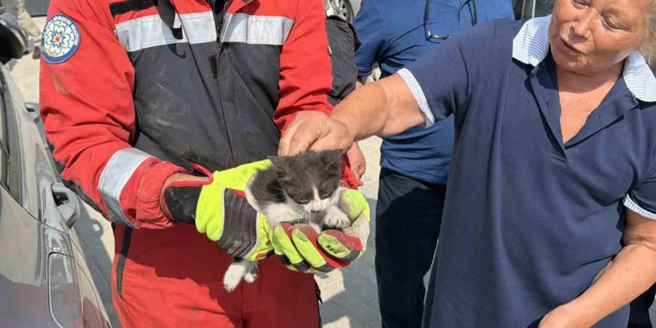 Otomobilin motor bölümüne sıkışan kedi kurtarıldı