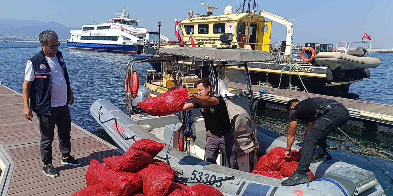 İzmir’de yasa dışı kara midye operasyonu: 560 kilogram midye denize iade edildi