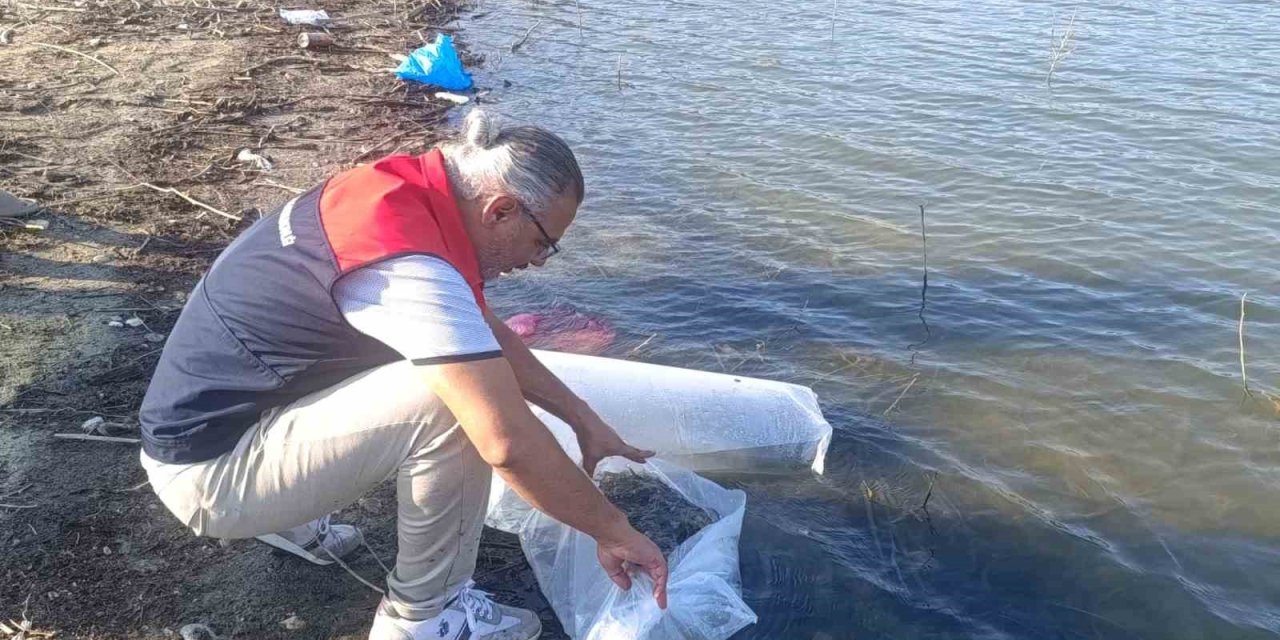 Göletlere 80 bin yavru balık bırakıldı